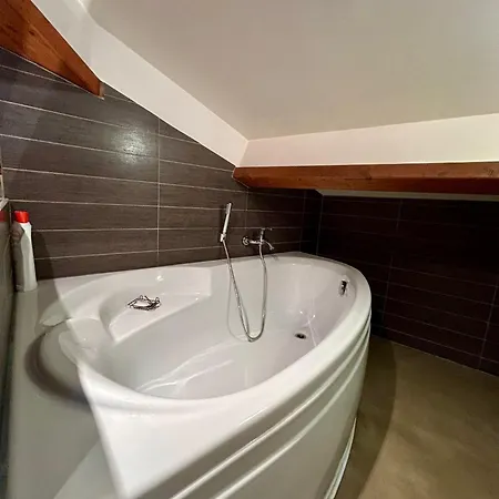 Loft Garonne - Centre Immeuble Privatif Tatil Evi Toulouse