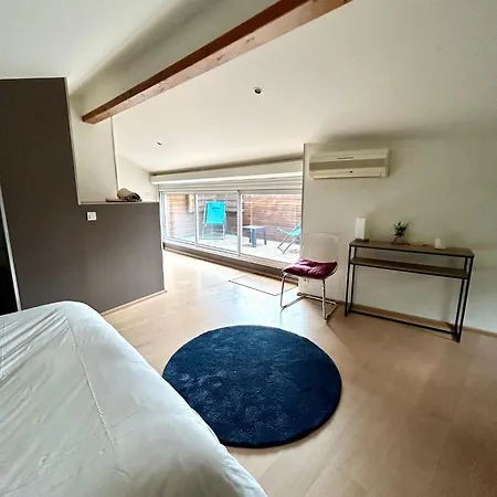 Dom wakacyjny Loft Garonne - Centre Immeuble Privatif Tuluza